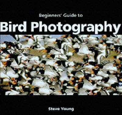 Book cover for An Essential Guide to Bird Photography