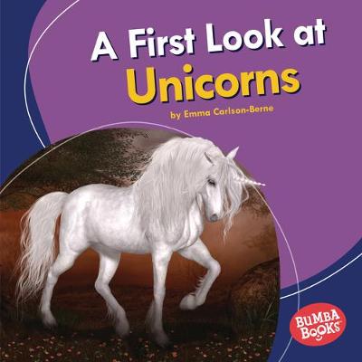 Book cover for A First Look at Unicorns