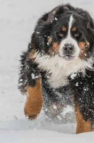 Cover of Bernese Mountain Dog Running in Snow Journal