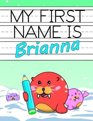 Book cover for My First Name is Brianna