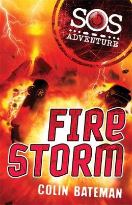 Cover of Fire Storm