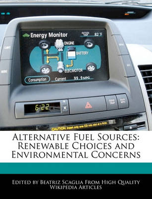 Book cover for Alternative Fuel Sources