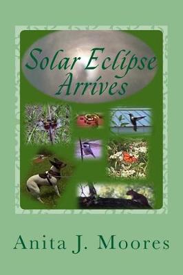 Cover of Solar Eclipse Arrives