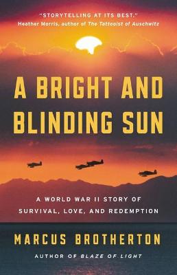 Book cover for A Bright and Blinding Sun