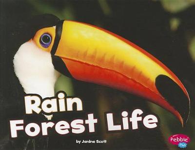 Book cover for Habitats Around the World Rain Forest Life