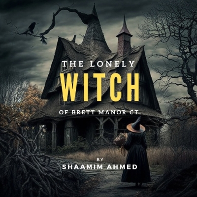 Cover of The Lonely Witch of Brett Manor Ct.