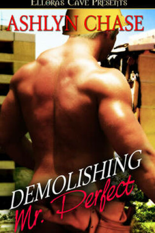 Cover of Demolishing Mr. Perfect