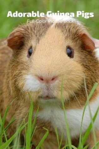 Cover of Adorable Guinea Pigs Full-Color Picture Book