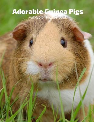 Book cover for Adorable Guinea Pigs Full-Color Picture Book