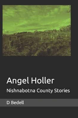 Cover of Angel Holler