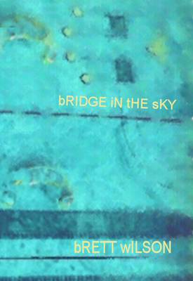 Book cover for Bridge in the Sky