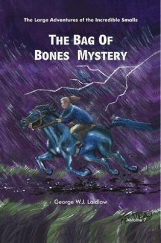 Cover of The Bag of Bones Mystery