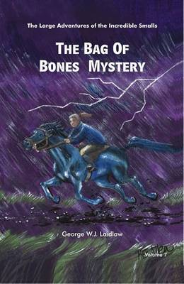 Book cover for The Bag of Bones Mystery