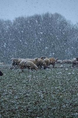 Book cover for Sheep in a Field While it's Snowing Journal