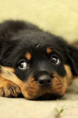 Cover of Rottweiler Puppy Dog Lying Down and Looking Up Journal