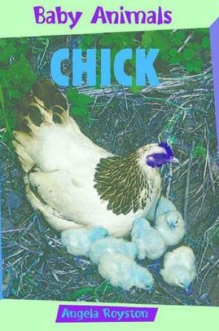 Cover of Chick