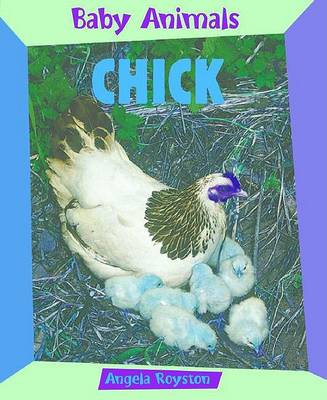 Book cover for Chick