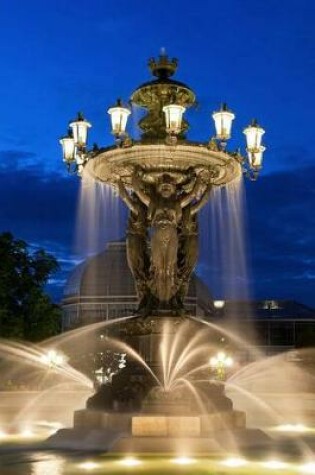 Cover of Lighted Fountain at Night Journal