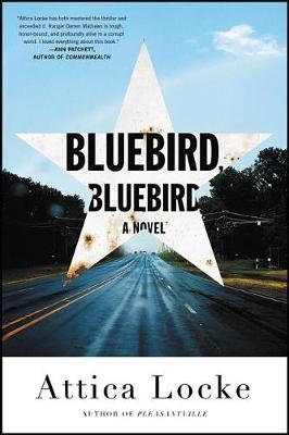 Book cover for Bluebird, Bluebird