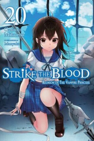 Cover of Strike the Blood, Vol. 20 (light novel)