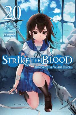 Book cover for Strike the Blood, Vol. 20 (light novel)