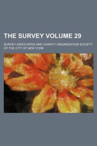 Cover of The Survey Volume 29