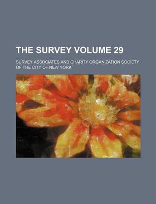 Book cover for The Survey Volume 29