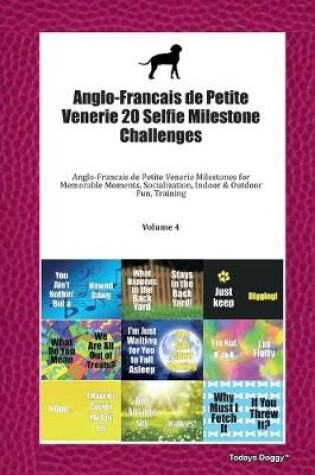 Cover of Anglo-Francais de Petite Venerie 20 Selfie Milestone Challenges