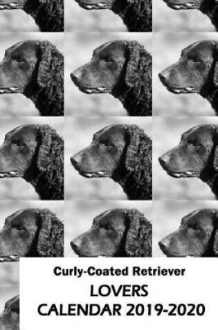 Cover of Curly-Coated Retriever Lovers Calendar 2019-2020