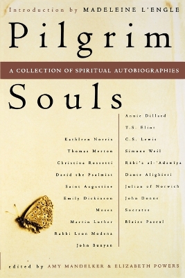 Book cover for Pilgrim Souls