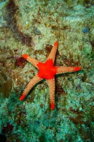 Cover of A Starfish Underwater Tropical Marine Life Journal