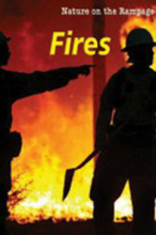 Cover of Fires