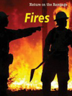 Cover of Fires