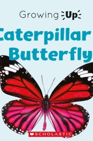 Cover of Caterpillar to Butterfly (Growing Up) (Paperback)