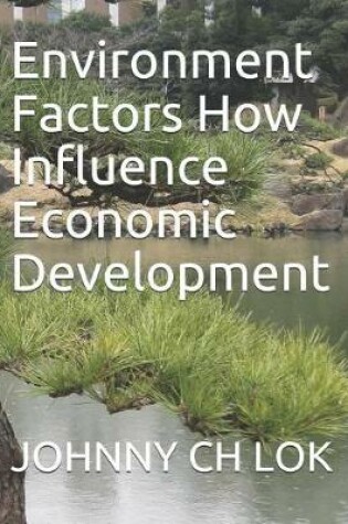 Cover of Environment Factors How Influence Economic Development