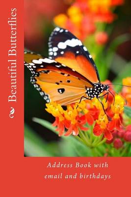 Book cover for Beautiful Butterflies