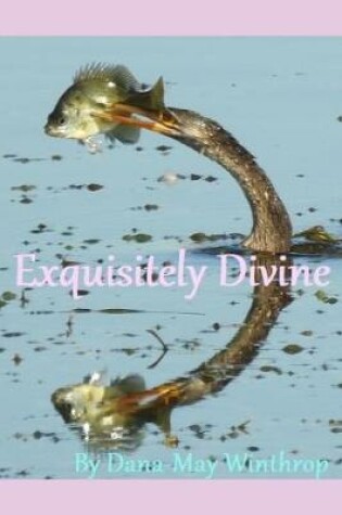 Cover of Exquisitely Divine