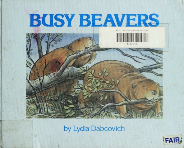 Book cover for Dabcovich Lydia : Busy Beavers (Hbk)