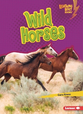 Book cover for Wild Horses