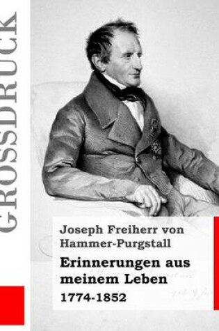 Cover of Erinnerungen aus meinem Leben (Großdruck)