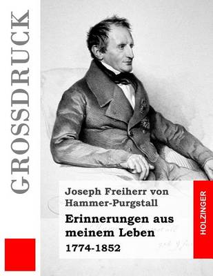 Book cover for Erinnerungen aus meinem Leben (Großdruck)