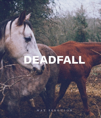 Book cover for Deadfall