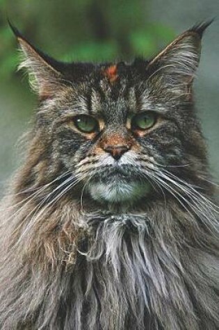 Cover of Maine Coon Cat Lovers Journal