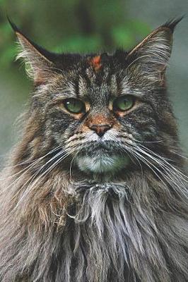 Book cover for Maine Coon Cat Lovers Journal