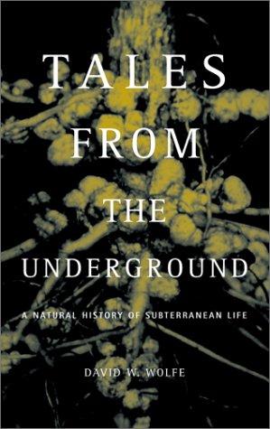 Book cover for Tales from Underground