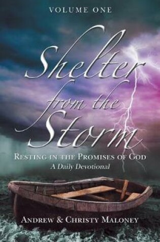 Cover of Shelter from the Storm