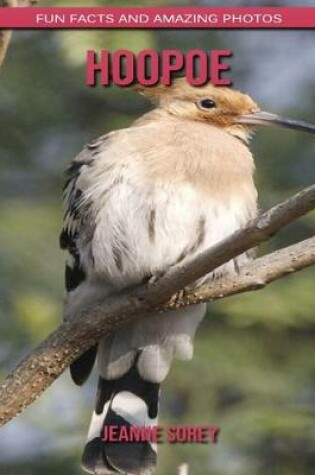 Cover of Hoopoe