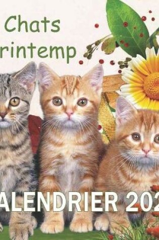 Cover of chats printemp calendrier 2021