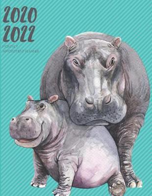 Book cover for 2020-2022 Three 3 Year Planner Hippo Calf Monthly Calendar Gratitude Agenda Schedule Organizer