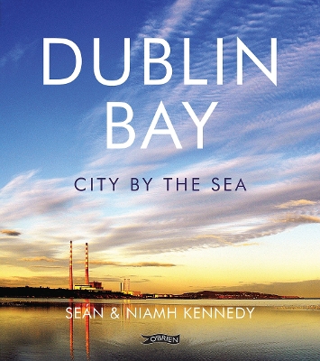 Book cover for Dublin Bay